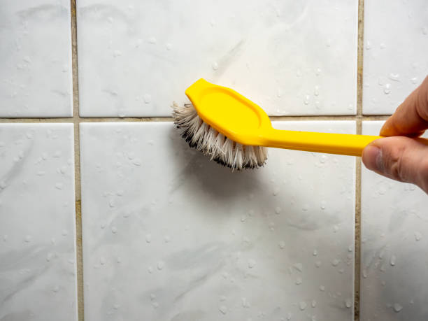 Professional Mold Remediation in Pinedale, WY