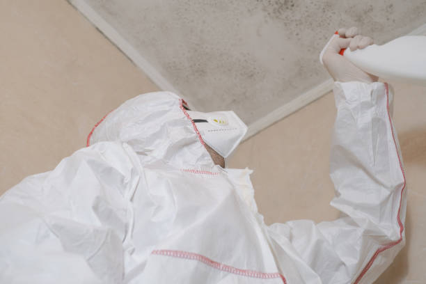Best Mold Testing and Inspection Services in Pinedale, WY