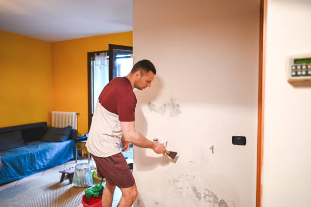 Best Crawl Space Mold Remediation in Pinedale, WY